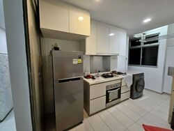 Oasis @ Elias (D18), Condominium #571007941